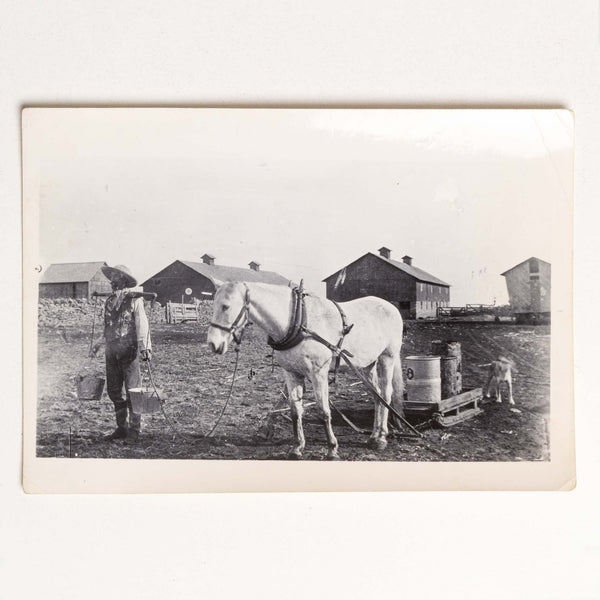 Photo of Horse Pulling Cart with Milk