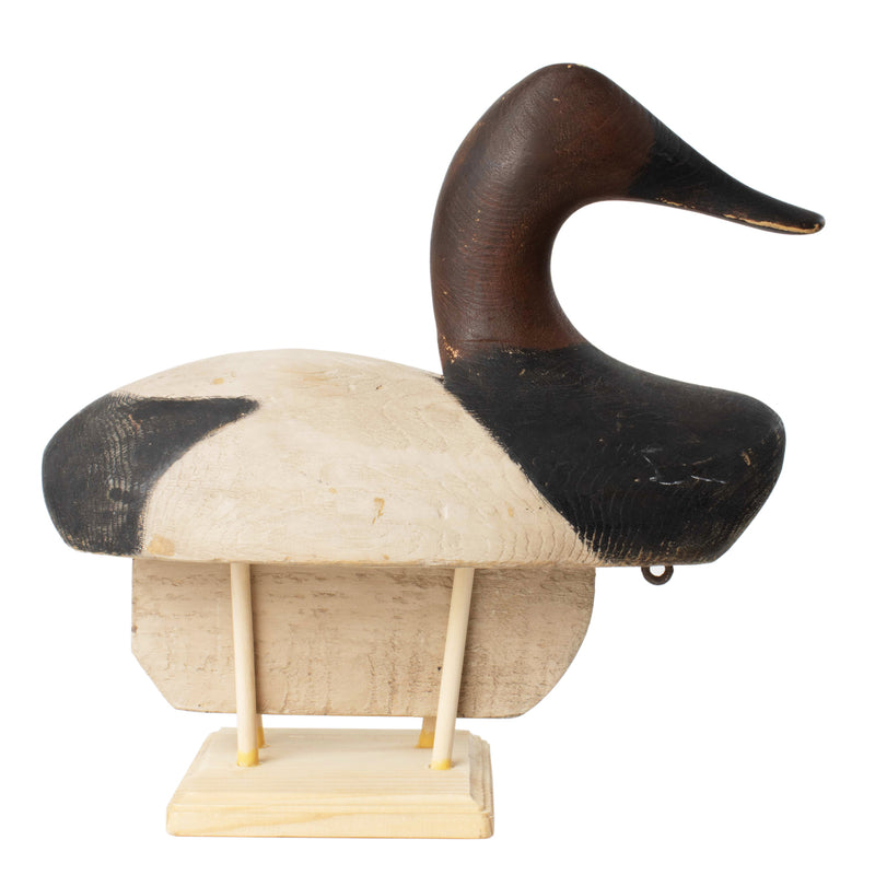 Delta Marsh Manitoba Style Canvasback Decoy on Wood Stand