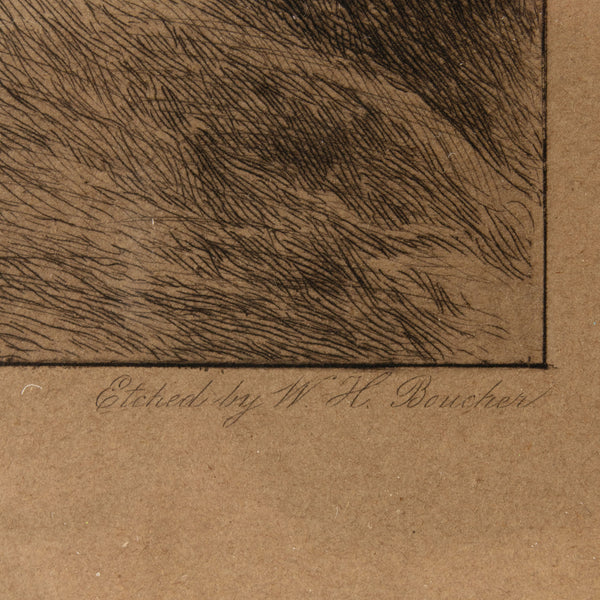 Framed Etching Print by W.H. Boucher of "For Fifty Years. (Old, but gallant)" by W. Dendy Sadler