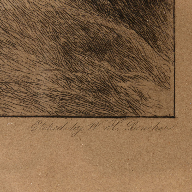 Framed Etching Print by W.H. Boucher of "For Fifty Years. (Old, but gallant)" by W. Dendy Sadler