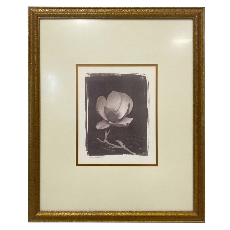Gold Framed & Matted "Magnolia Twig and Flower" Photo Prints (Pair)