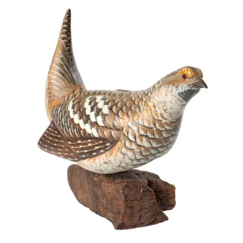 Lifesize Sharptail Grouse Carving