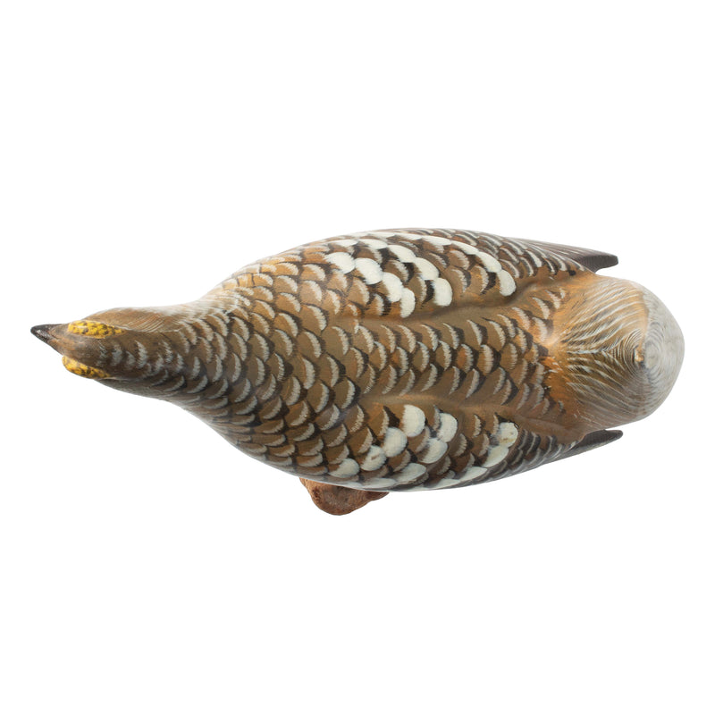 Lifesize Sharptail Grouse Carving