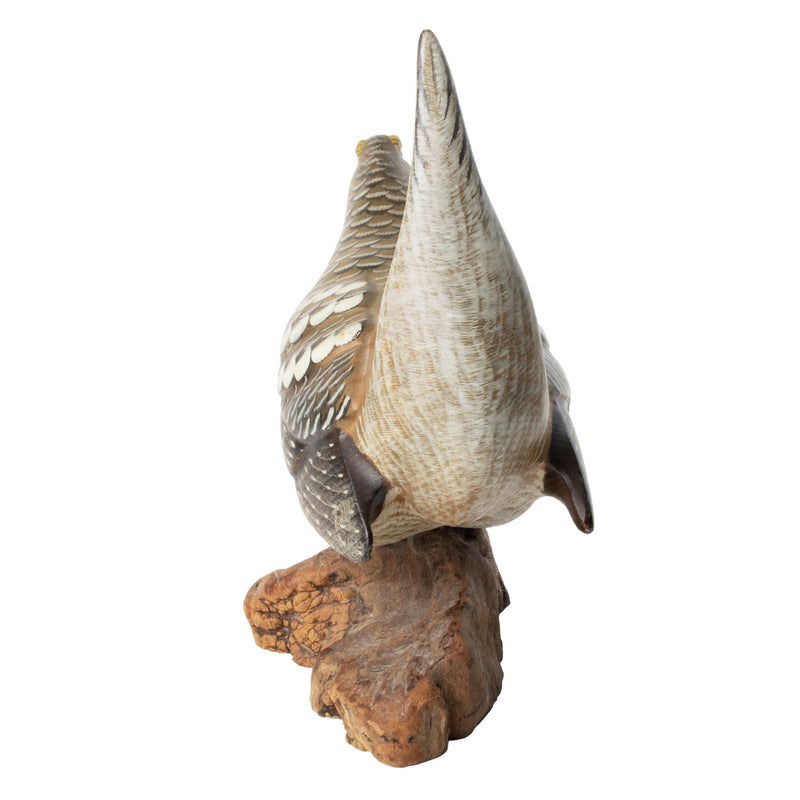 Lifesize Sharp Tail Grouse Carving