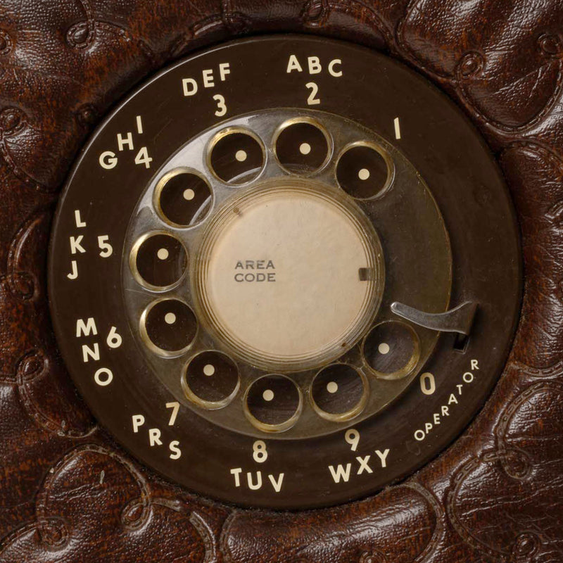 Oak and Brown Vinyl Phone with Milk Glass "BAR" Globe Light