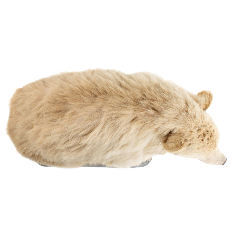 Cinnamon Phase Black Bear Full Mount on Rock Base