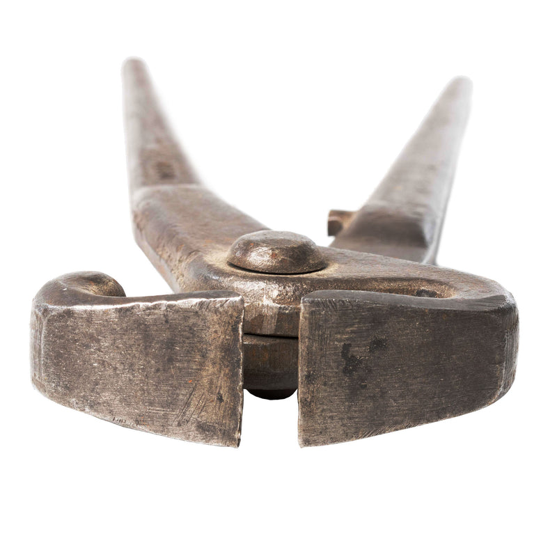 Dasco 314 Farrier's Hoof Clamp/ Nail Clippers