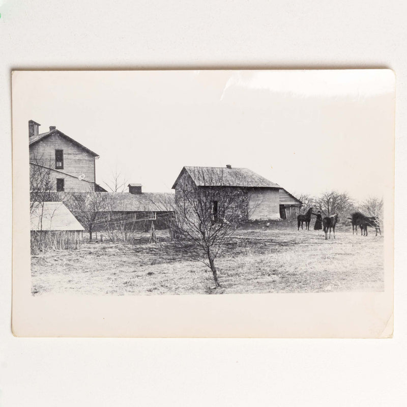 Nellie Green Holding Horse at Cheese Factory House