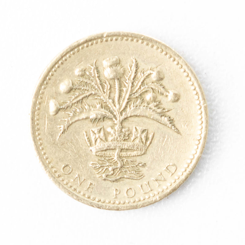 British One Pound Coin - 1989