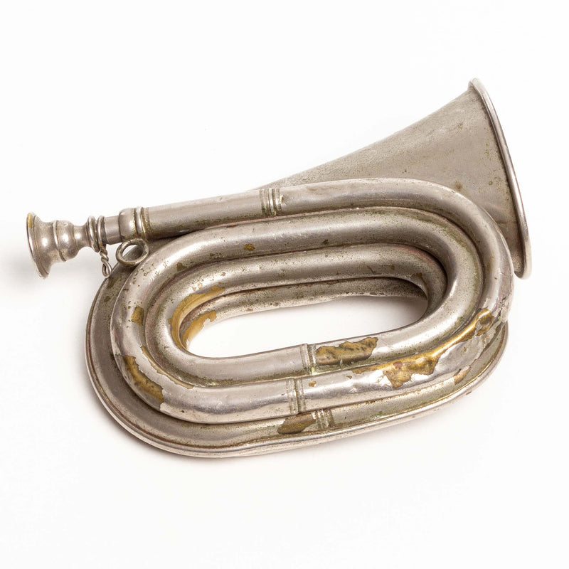 Silver Coloured Buglet