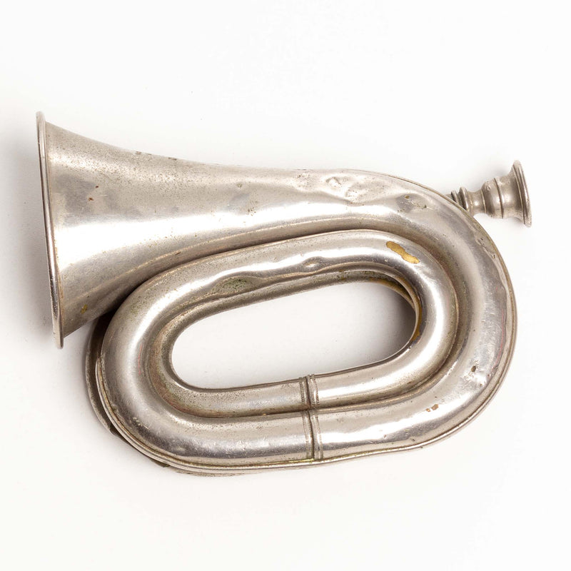 Silver Coloured Buglet