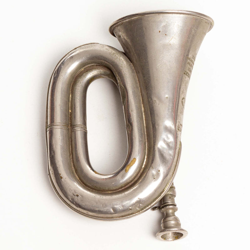 Silver Coloured Buglet