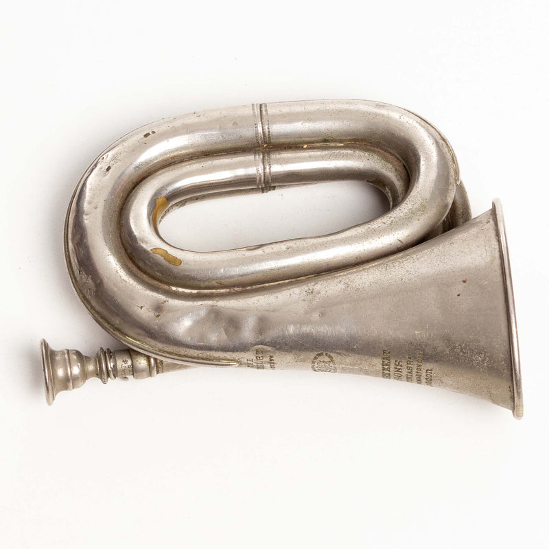 Silver Coloured Buglet