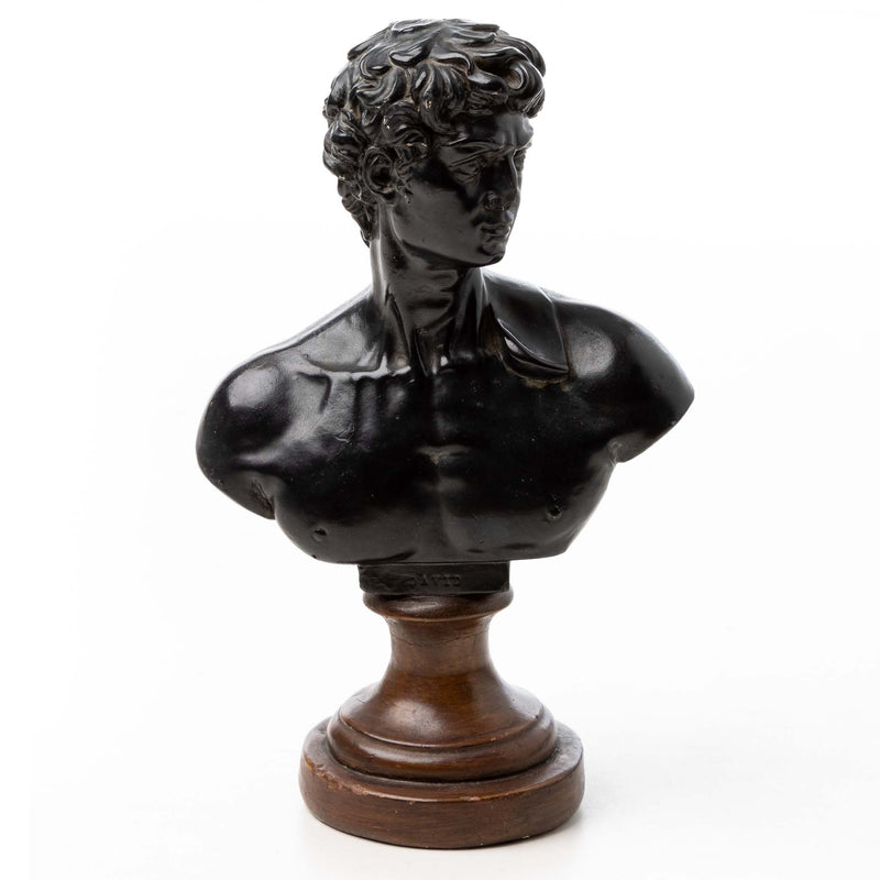 Devonware Bust of David
