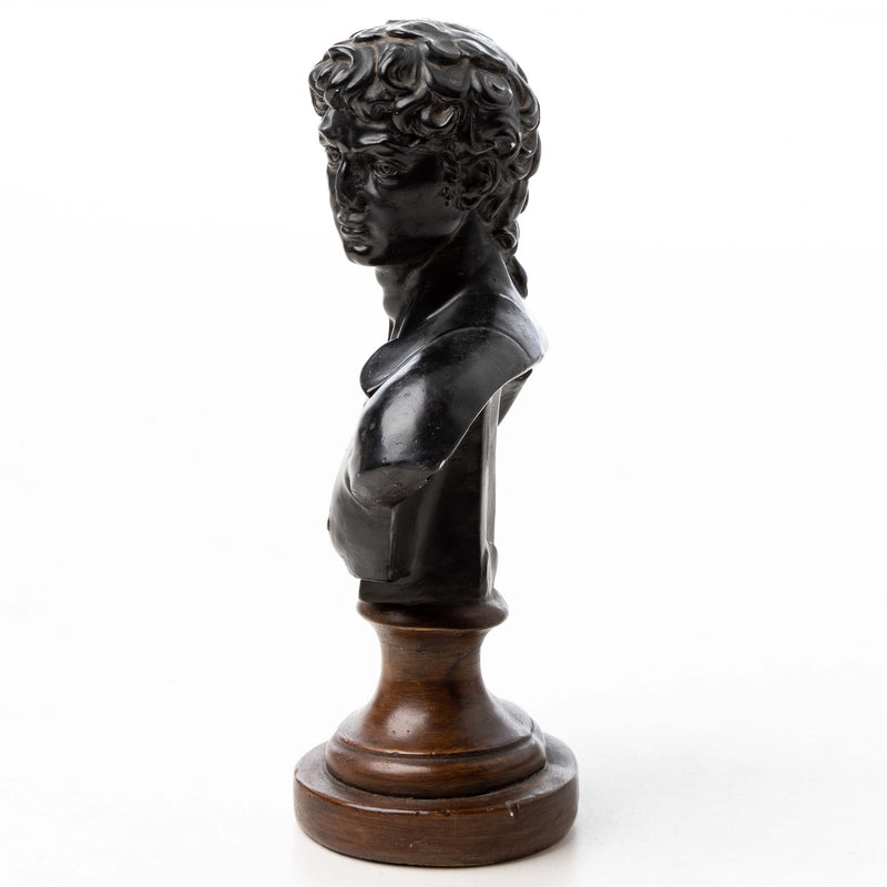 Devonware Bust of David