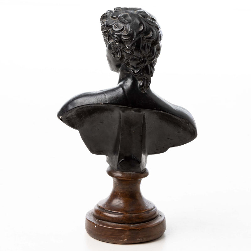 Devonware Bust of David