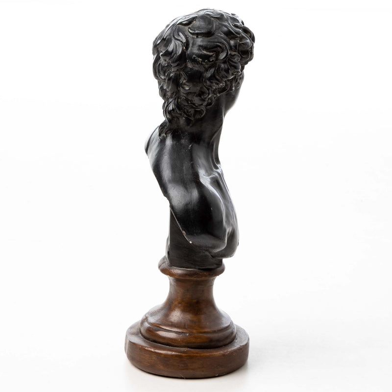 Devonware Bust of David