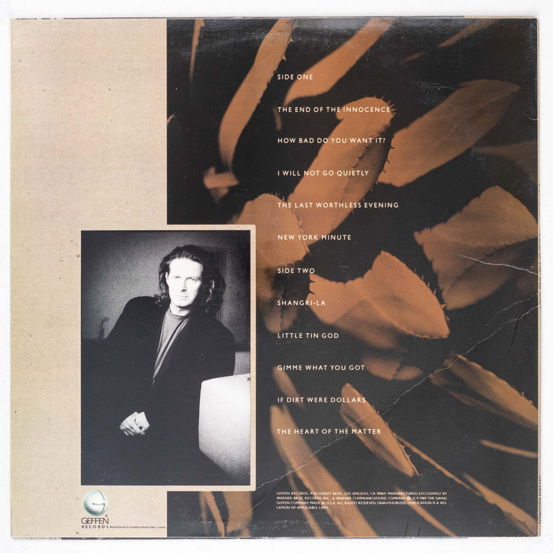 Don Henley - The End of the Innocence (LP)