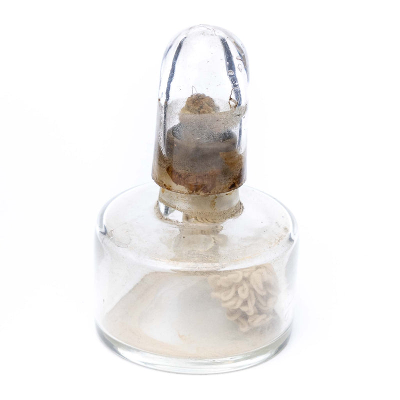 Glass Bunsen Burner with Top