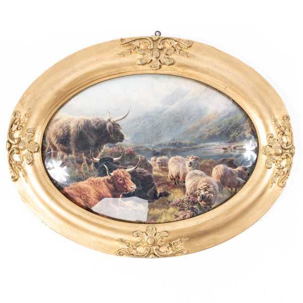Highland Cattle Oval Gesso Framed Picture