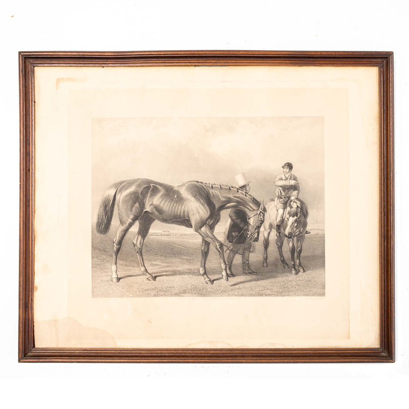 Print of Racehorse - Plate #8