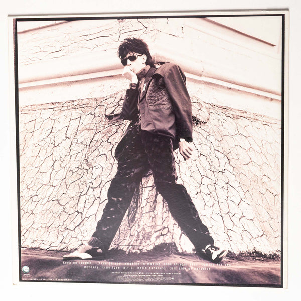 Ric Ocasek - This Side of Paradise (LP)
